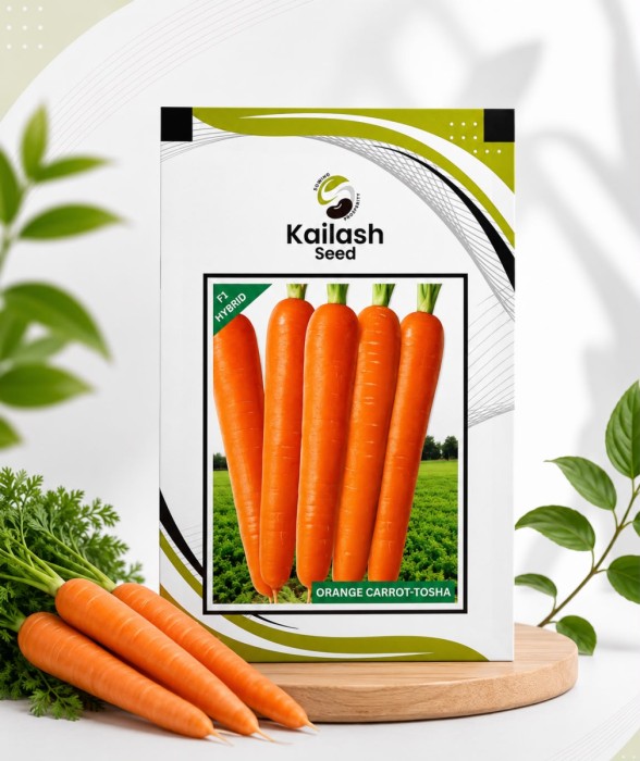 Carrot Orange